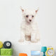 Portrait Chinese Crested Puppy Wall Decal