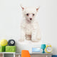 Portrait Chinese Crested Puppy Wall Decal