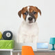 Jack Russell Puppy Wall Decal