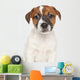 Jack Russell Puppy Wall Decal