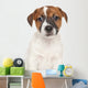 Jack Russell Puppy Wall Decal