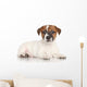Jack Russell Puppy White Wall Decal