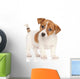 Jack Russell Terrier Puppy Wall Decal
