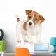 Jack Russell Terrier Puppy Wall Decal