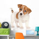 Jack Russell Terrier Puppy Wall Decal
