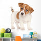 Jack Russell Terrier Puppy Wall Decal
