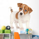 Jack Russell Terrier Puppy Wall Decal