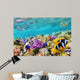 Underwater World Tropical Wall Decal