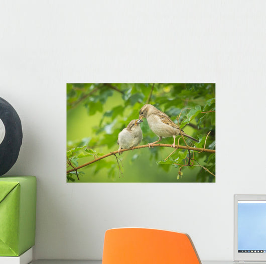 House Sparrow Feeding Wild Wall Decal