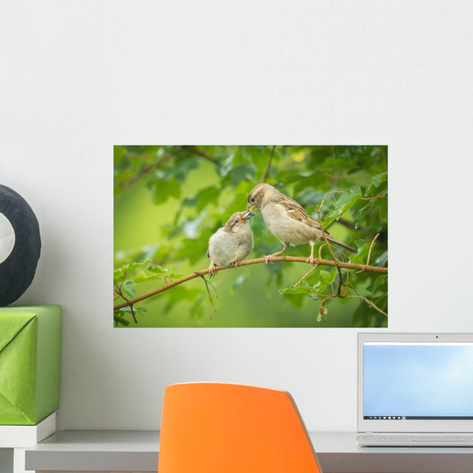 House Sparrow Feeding Wild Wall Decal