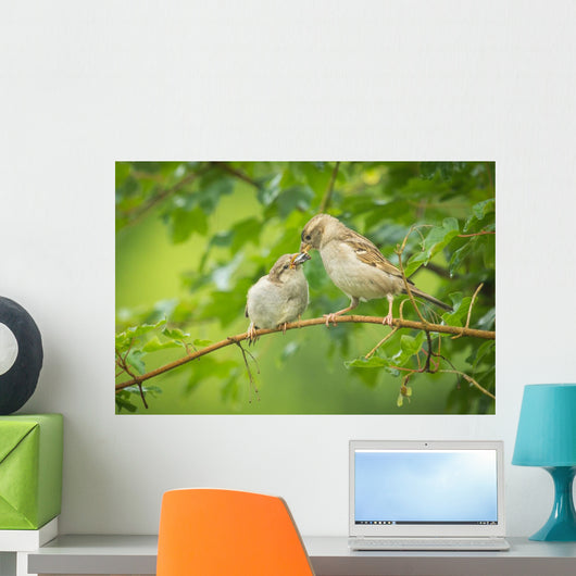 House Sparrow Feeding Wild Wall Decal