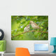 House Sparrow Feeding Wild Wall Decal