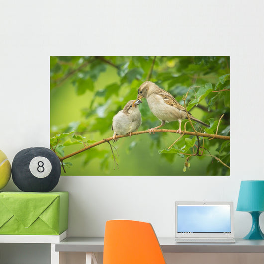 House Sparrow Feeding Wild Wall Decal