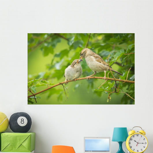 House Sparrow Feeding Wild Wall Decal