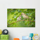 House Sparrow Feeding Wild Wall Decal