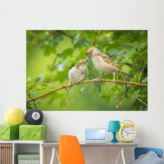 House Sparrow Feeding Wild Wall Decal