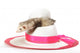 Chapeau Wall Decal