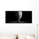 Elephant with Dark Wall Decal