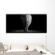 Elephant with Dark Wall Decal