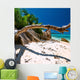 Beautiful Beach Seychelles Wall Decal