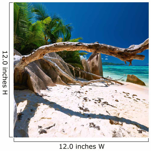 Beautiful Beach Seychelles Wall Decal