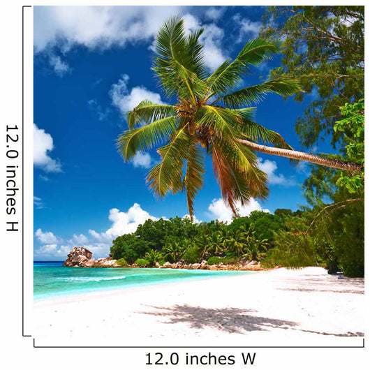 Beautiful Beach with Palm Wall Decal
