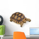 Turtle White Wall Decal