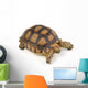 Turtle White Wall Decal
