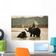 Man Washing His Elephant Wall Decal