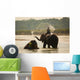 Man Washing His Elephant Wall Decal