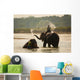 Man Washing His Elephant Wall Decal