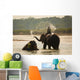 Man Washing His Elephant Wall Decal