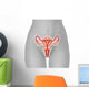 Illustration Female Uterus Wall Decal