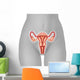 Illustration Female Uterus Wall Decal