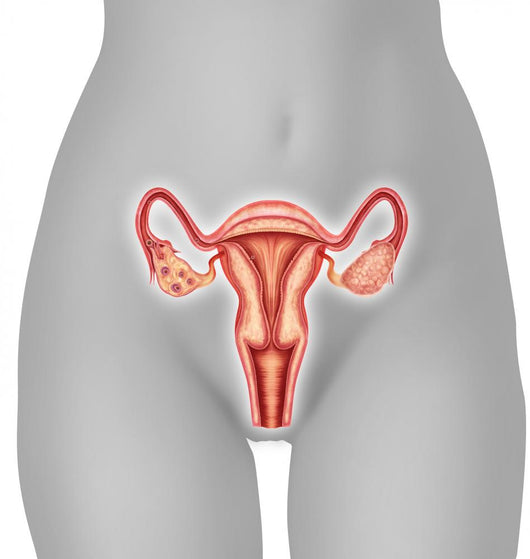 Illustration Female Uterus Wall Decal