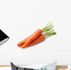 Carrot Vegetable Wall Decal