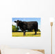 Juvenile Angus Cow Wall Decal