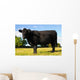 Juvenile Angus Cow Wall Decal