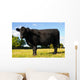 Juvenile Angus Cow Wall Decal