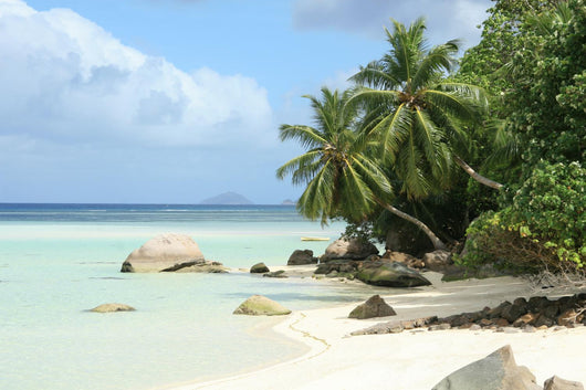 Beach Seychelles Wall Decal