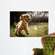 Golden Cocker Wall Decal