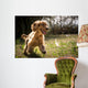 Golden Cocker Wall Decal