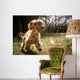 Golden Cocker Wall Decal