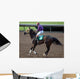 Race Horse Jockey Wall Decal