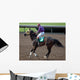 Race Horse Jockey Wall Decal
