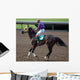 Race Horse Jockey Wall Decal