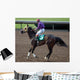 Race Horse Jockey Wall Decal
