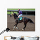 Race Horse Jockey Wall Decal