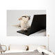 Terrier Wearing Glasses and Wall Decal