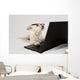 Terrier Wearing Glasses and Wall Decal